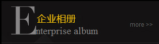 金华瑞散热器